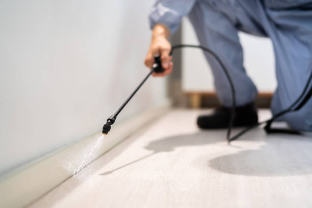 Licensed Cockroach Control service in Kosciusko, MS - Nex Pest Control