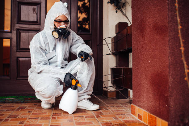 Reliable Cockroach Control contractor in Kosciusko, MS by Nex Pest Control